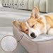 JOYELF Hundebett Waschbares beruhigendes Katzenbett, Anti-Angst-Hundebett & Sofa, süßes Flauschiges Haustier-Couchbett für Welpen, Kätzchen, kleine Hunde und Katzen - kleines Rechteck