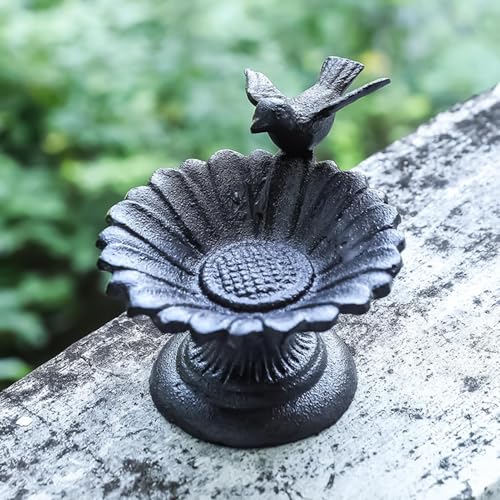 Bain d'oiseaux extérieur pour colibri et mangeoire de pelouse en métal - 3
