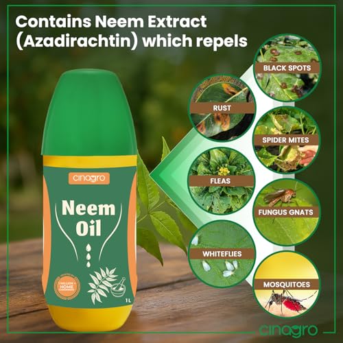 Image of Cinagro Cold Pressed Neem Oil Concentrate (1 Litre, Makes 240 Litre Spray) Organic, Water-Soluble, Plant Protector, Removes Mealybugs, Fungus & Insect Control for All Plants, Indoor & Outdoor Use