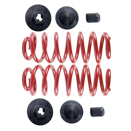 Rear Right & Left Air Suspension Bag To Coil Spring Conversion Kit for BMW X5 E53 2000 2001 2002 2003 2004 2005 2006 Automotive Replacement Complete Shock Parts Driver and Passenger Side - Brhaspatip