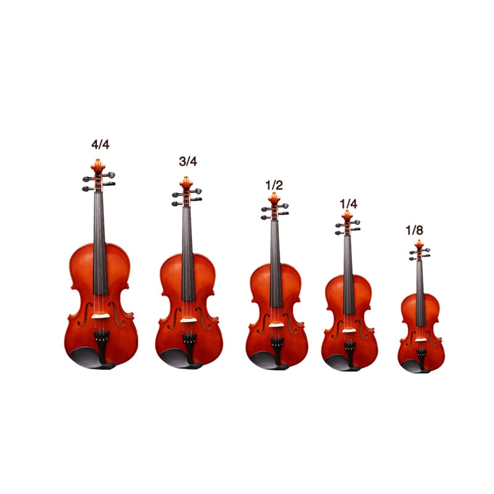 Violino Set Violino Per Principianti Per Adulti 4/4-8/1 Strumento Per Violino Per Principianti(4/4)
