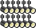 VANoopee 12-Pack 10W Dimmable LED Track Lighting Heads H Type Track Light Replacement Fixtures Bright 3000K Warm White Ceiling Spotlight for Accent Task Art, Flicker Free CRI90+ 24° 800lm Black