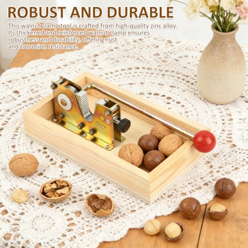 Nussknacker Walnüsse Nut Cracker en métal robuste avec 3 brosses incluses - 6
