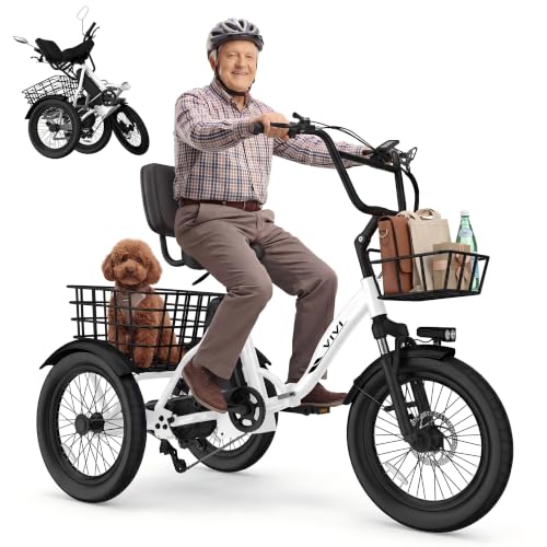 Vivi FatGo1 Electric Trike