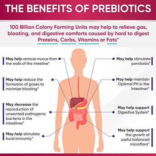 Wholesome Wellness PROBIOTICS-100BILLION-WOMEN Dr. Formulated Raw Probiotics For Women 100 Billion Cfus With Prebiotics, Digestive Enzymes, Approved Women'S Probiotic For Adults, Shelf Stable Probiotic Supplement Capsules thumb #5