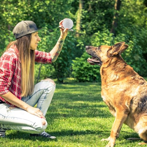 Angoily 10St Dufttrainingsbox für Hunde Dufttrainingsgerät Hund Die Kaninchenspielzeug Haustier Dufttrainingsboxen Hundetrainingsset Gewinde Trainingsgeräte Nasenpads Arbeitshund Container
