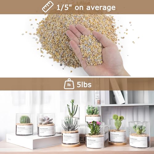 Image of Mulctun 5Lbs Aquarium Gravel, 1 /5 inch Fish Tank Gravel, Succulent Cactus Rocks for Plants Indoor Outdoor, Pea Gravel for Landscaping Vases, Terrarium,Top Dressing, Flower Pots