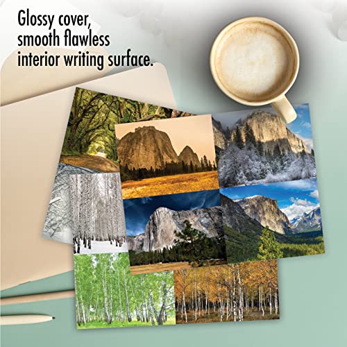 Image of The Best Card Company - 10 Beautiful Note Cards Blank (4 x 5.12 Inch) - Fall and Autumn Season, Boxed Notecard Assortment - Four Seasons M6489OCB