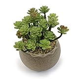 allgala Small Desktop Artificial Succulent Plant Indoor and Outdoor Indoor Fake Plants with Natural Clay Pot