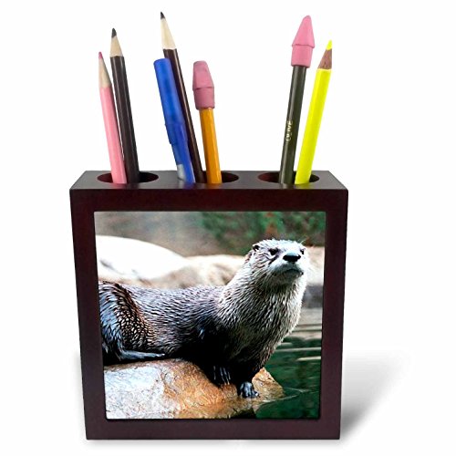 3dRose ph_1019_1 Otter Tile Pen Holder, 5-Inch