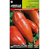 Semillas de Tomate Andina Cornue