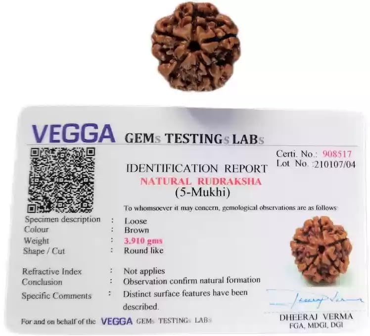 HC- 15 Panchmukhi Rudraksha for Jupiter/Panchmukhi Rudraksha for Good Health, Success and Prosperity. (B0D1NYRFXC) Amazon Price History, Amazon Price Tracker
