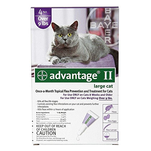 advantage large cat 4 pack