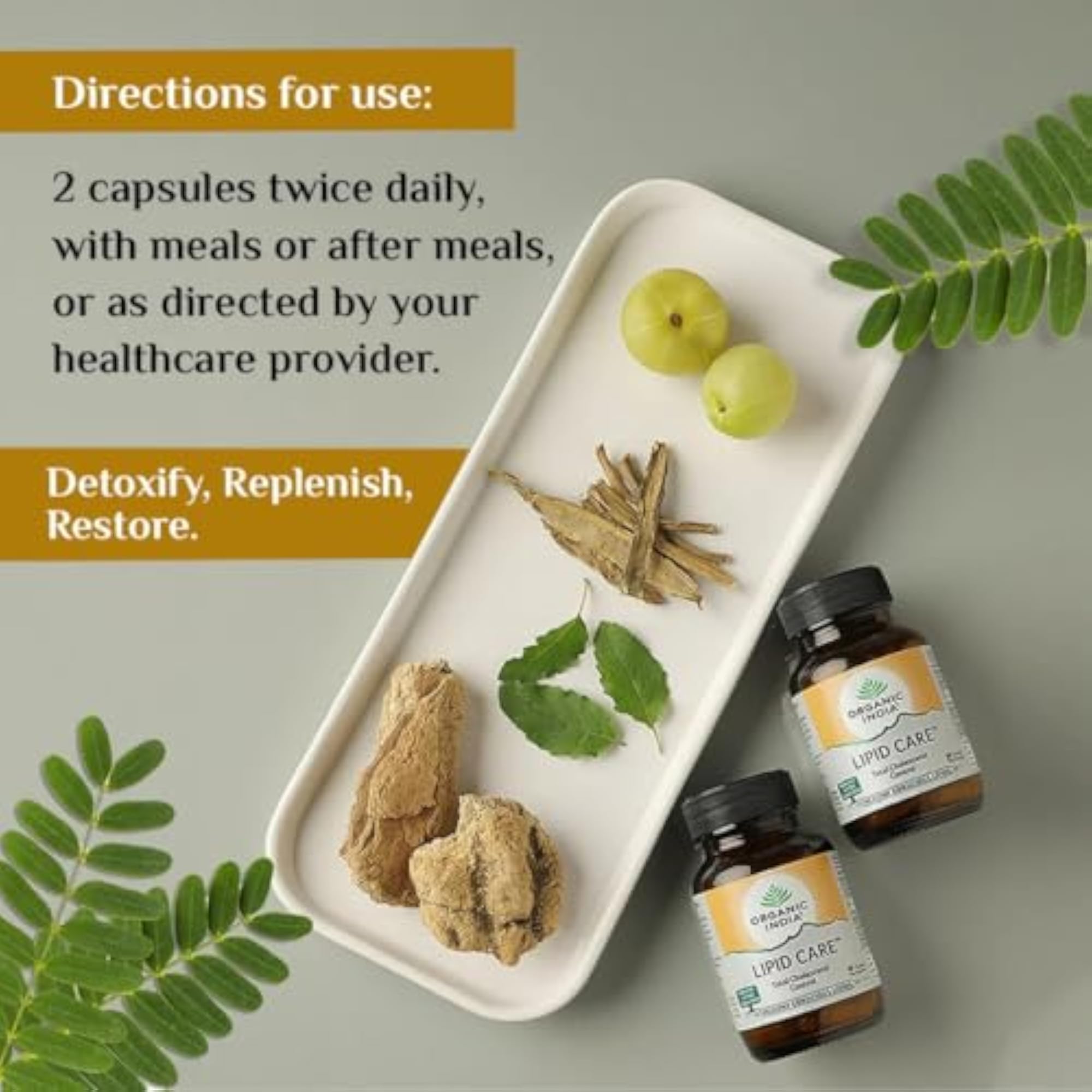 Organic Lipid Care, 60 Capsules Bottle (Pack Of 3)