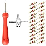 nuoshen 103 Stück Ventil Werkzeug Set, Ventil Werkzeug Kit mit 100 Stücke Ventilkernen+1 Stück Einkopf-Ventil Entferner+ 1 Stück 4-in-1-Reparaturwerkzeug für Auto Fahrrad Motorrad LKW