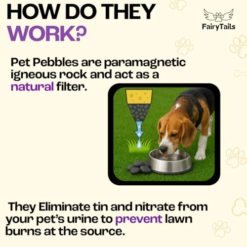 Fairy Tails Pet Pebbles – Natürlicher Hunde-Urin-Neutralisierer für Wassernäpfe, Grasreparatur, Urinverbrennungsflicken-Reparatur/Fleckenverhinderer für Haustiere