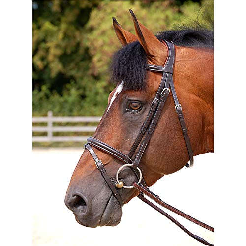 Dy'on Brida WC Classic Flash resuelve el ajuste perfecto Full 3