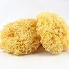 Glorious Inheriting Aziatische oorsprong natuurlijkly gedroogde witte tremella van algemene omvang met nettozak van 500…