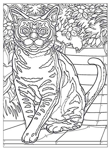 Creative Haven Cats Color by Number Coloring Book (Adult Coloring Books: Pets) - Image 5
