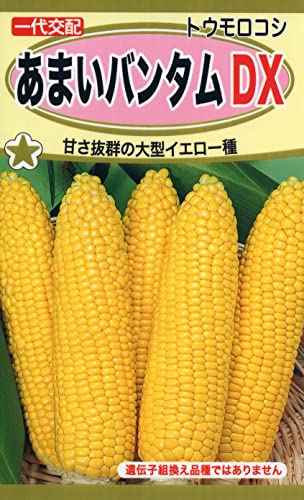 Ѓg[zN gERV ܂o^DX 03358