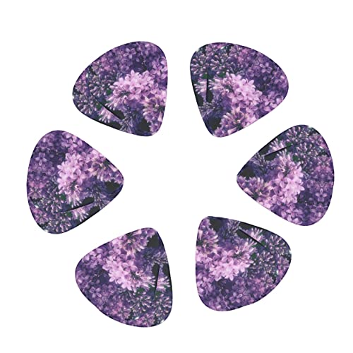 Ensemble de 12 médiators de guitare Purple Flowers pour guitare acoustique, guitare électrique, contrebasse, ukulélé - Les Beatles, Paul McCartney, John Lennon, RIngo Starr, George Harrison Ensemble de 12 médiators de guitare Purple Flowers pour guitare acoustique, guitare électrique, contrebasse, ukulélé – Image 3