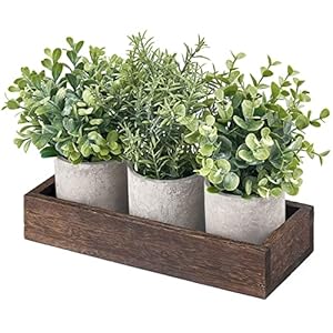 Dahey 3 Pack Mini Potted Artificial Eucalyptus Fake Plants with Wood Tray Centerpiece Table Decorations, Farmhouse Pulp Flower Pots Greenery Home Decor for Coffee Table Dining Room Office Kitchen Dahey 3 Pack Mini Potted Artificial Eucalyptus Fake Plants with Wood Tray Centerpiece Table Decorations Farmhouse Pulp Flower Pots Greenery Home Decor for Coffee Table Dining Room Office Kitchen