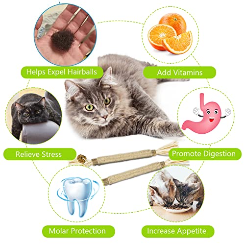 vsshe Katzenminze Sticks,6 Stück Matatabi Katzensticks Katzenminzen Spielzeug Matatabi Stick Katzen Sticks Katzenminze Zähne Reinigung… – Ansicht 5