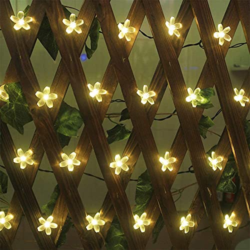 Image of Desidiya 16 Flower LED Curtain String Window Lights Indoor /Outdoor Decoration for Diwali, Christmas, Wedding, Party, Home, Patio Lawn Corded Electric (Warm White - Pack of 1)