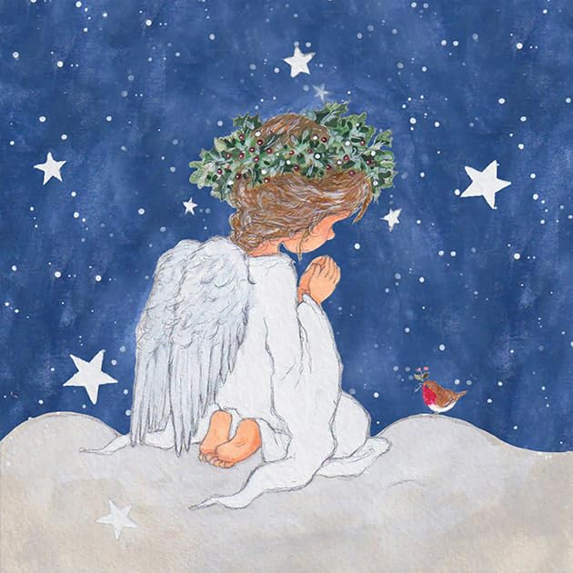 Noel Tatt Charity Christmas Cards Pack of 10 Angel & Robin Design