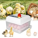 GJCrafts Incubadora de huevos Volteo automático de huevos Pantalla LED digital Mini incubadora automática Adecuado para incubar todas las aves de corral-pollos (Incubadora de 16 huevos)