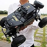 offroad buggy rahmen Extreme hohe Geschwindigkeit: Höchstgeschwindigkeit 25 km / h;Egal Land, Sandstrand, Schlamm, Feuchtgebiete, Grasland, robuste Steingebirgsstraße, Felsen können leicht bahnbrechend sein, furchtlos!