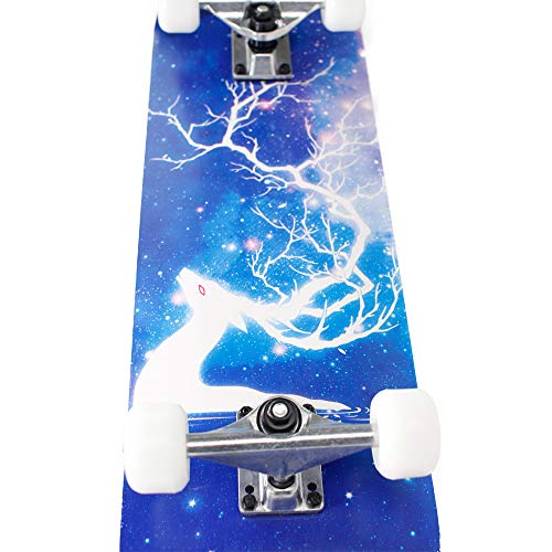 image for Dreambeauty 31x8 Inch Pro Skateboard Complete,7 Layer Maple Wood Doubl