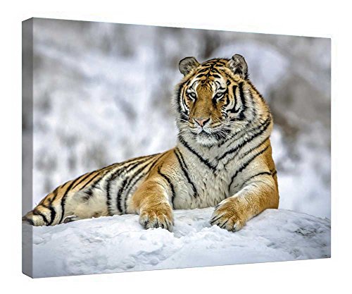 Tableau tigre de Sibérie toile tendue pose rapide