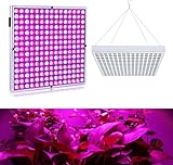 Basso consumo energetico e alte prestazioni, eccetto l'85% di risparmio energetico, : 50.000 ore di funzionamento. Il sistema di illuminazione a LED garantisce un'illuminazione uniforme della distribuzione dell'energia spettrale e favorisce una migliore crescita delle piante