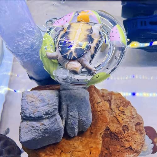 Image of 3 Pack Inflatable Turtle Floating Platform Toy Small Animal Floaties Swimming Ring Basking Rest Dock for Turtle Tortoise