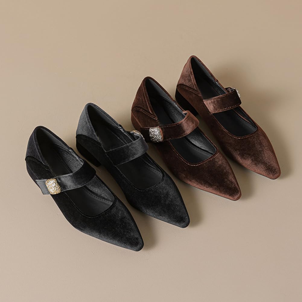 Women's Suede Mary Jane Pumps Fashion Pointed Toe Buckle Chunky Block Heel Dress Shoes for Office and Casual Wear