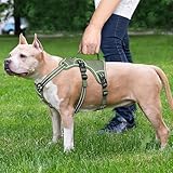 HEELE Hundegeschirr, Ausbruchsicher, Schnalle im Halsbereich, Reflektierend, Brustgeschirr mit Robuster Griff, Panikgeschirr Hund, Hundegeschirr Stabilen Eindruck, Passt wie Angegossen, Grün, S