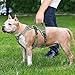 HEELE Hundegeschirr, Ausbruchsicher, Schnalle im Halsbereich, Reflektierend, Brustgeschirr mit Robuster Griff, Panikgeschirr Hund, Hundegeschirr Stabilen Eindruck, Passt wie Angegossen, Grün, S