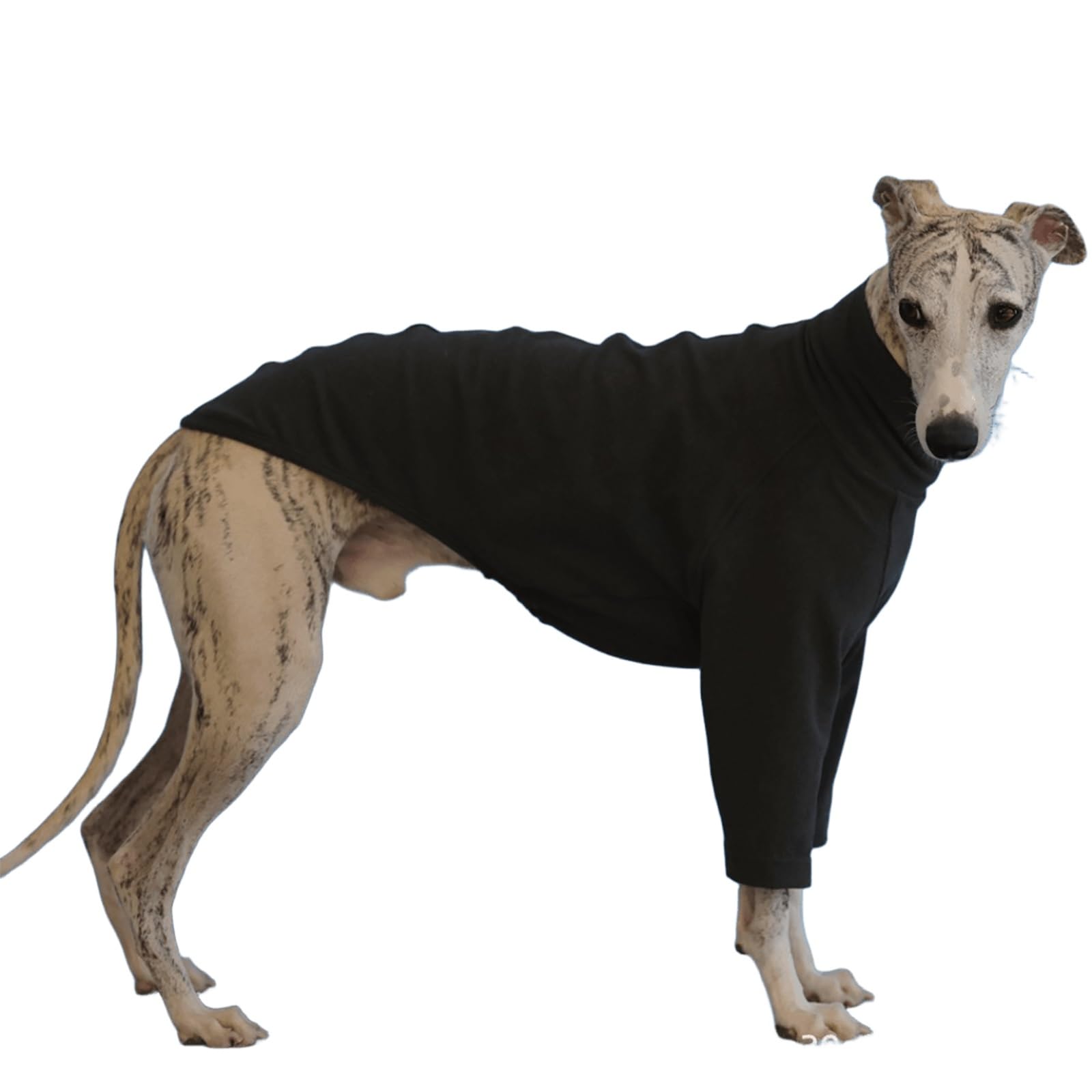Lightweight Dog Sweatshirt Pajamas, Soft Long Sleeve Dog Sweater Apparel for Italian Greyhound Clothes, Turtleneck Pet Shirt, Whippet Spring Fall Cozy Outfits(Gray,L)