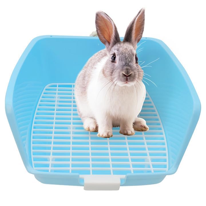 Rabbit Poop Can Rabbits Be Potty Trained Bunny Litter Box
