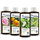 Spitzner Saunaaufguss Set Gedankenfrei (4 x 190 ml) – Wellness Sauna, natürliches Saunaöl mit aromatischem Saunaduft Lemongras, Orange, Rose, Zitronengras-Basilikum