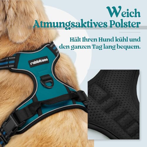 rabbitgoo Hundegeschirr Mittelgroße Hunde, Anti Zug Geschirr mit Kontrolle, No Pull Verstellbar Hundegeschirr Grosse Hunde, Atmungsaktiv Reflexstreifen Brustgeschirr Sichere Führung Dunkelgrün M