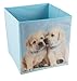 Puppies Blue Collapsible Storage Box and Closet Organizer