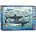 EuroGraphics Sharks 1000 Piece Puzzle , Blue