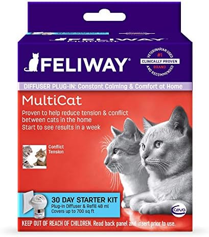 automatic fogger for reptiles