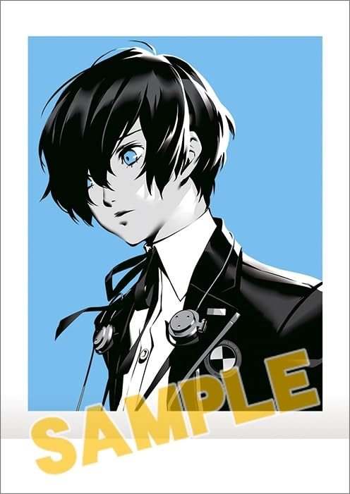 新品未開封♪ ぱしゃこれ ペルソナ3 リロード P3R BOX 2箱セット Amazon.co.jp: ペルソナ3 リロード PERSONA3 RELOAD ぱしゃこれ P3RE