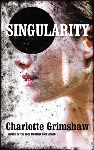 Singularity view 2
