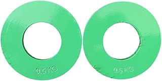 2x Fractional Plates Pieces Barbell Weights Portable 0.25/0.5/0.75/1 Kg Weight Lifting Plate for Workout