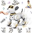 Roboter Hund Test - so simulieren Sie den Besitz eines Haustieres - Vergleich der besten Roboter Hunde 2025