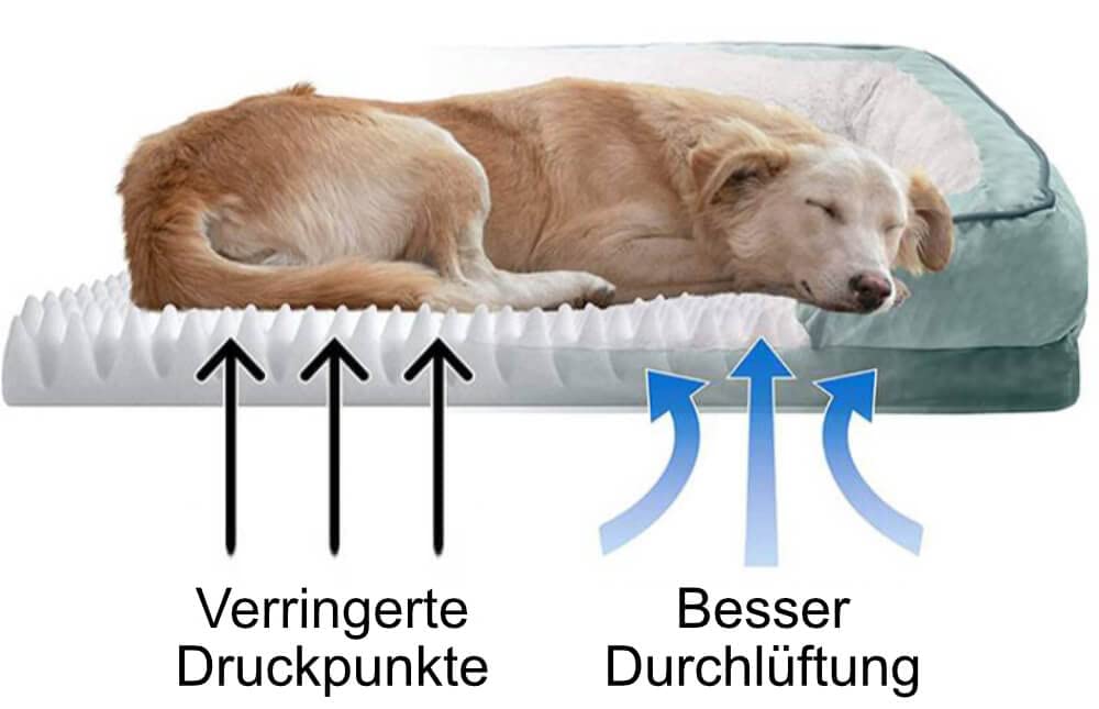 Baldiflex Skipper Matratze Für Hundebett – 70x50 Cm, Mit Memory-Schaum-Kissen, Kariert Mit Blauen Einsätzen, Orthopädisch